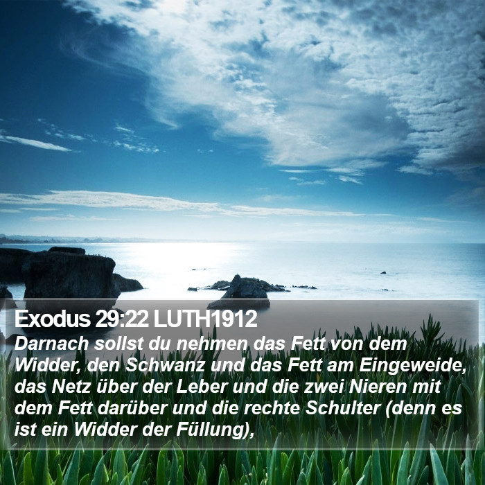 Exodus 29:22 LUTH1912 Bible Study