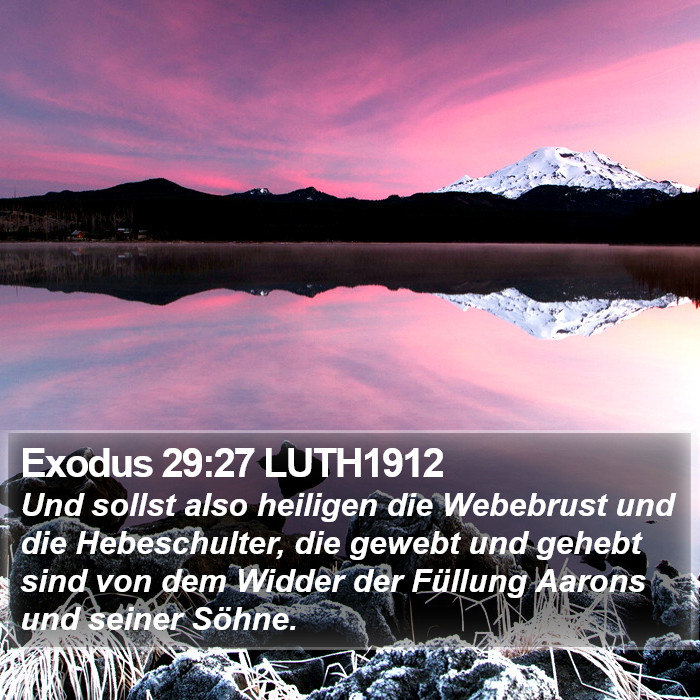 Exodus 29:27 LUTH1912 Bible Study