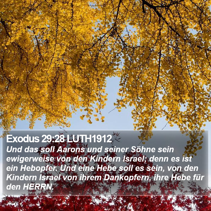 Exodus 29:28 LUTH1912 Bible Study