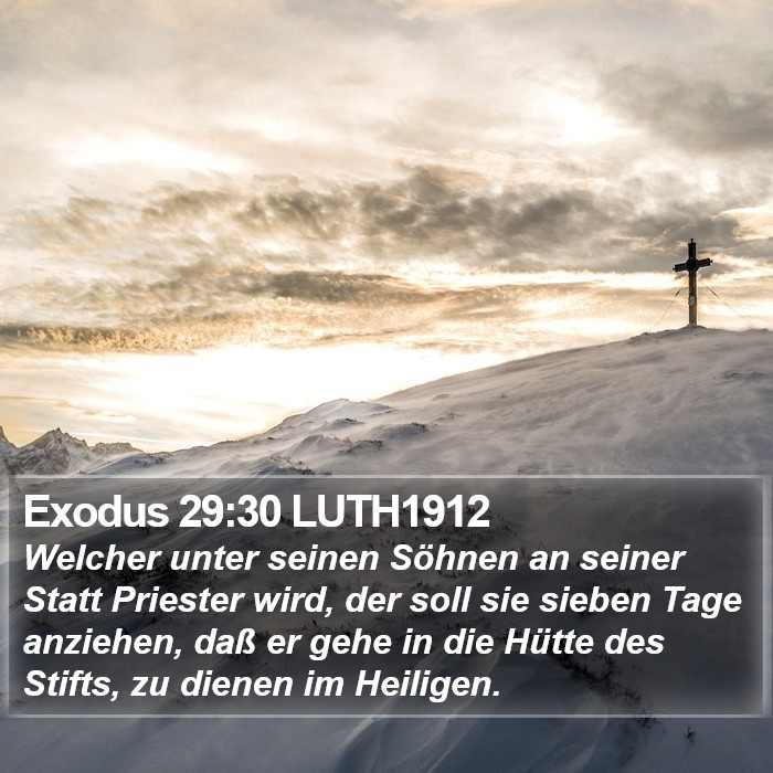 Exodus 29:30 LUTH1912 Bible Study