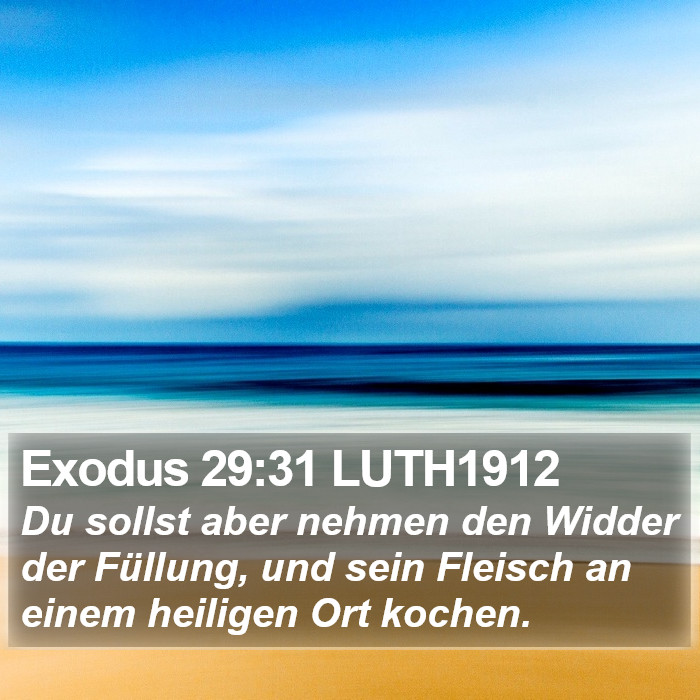Exodus 29:31 LUTH1912 Bible Study