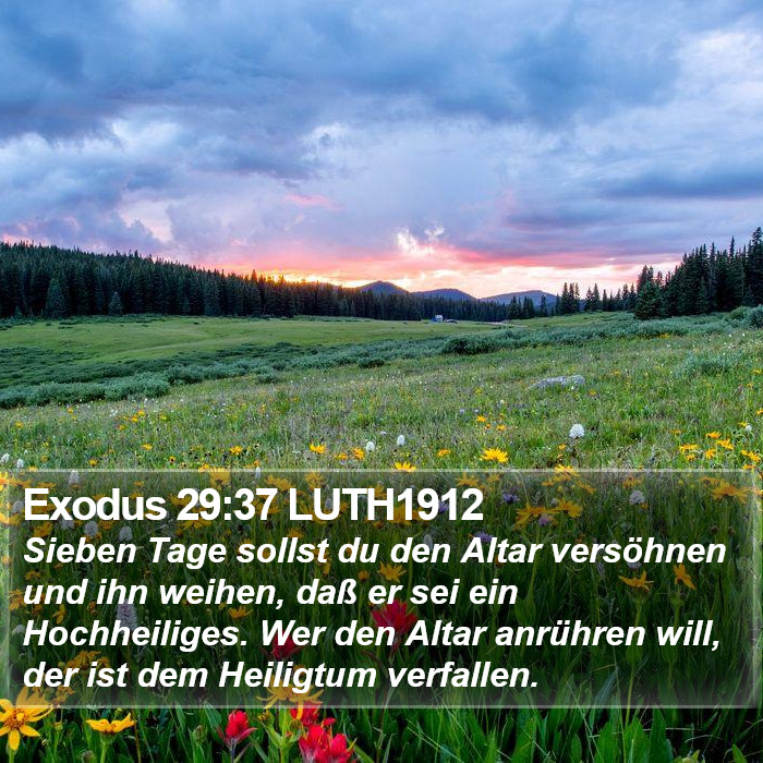 Exodus 29:37 LUTH1912 Bible Study