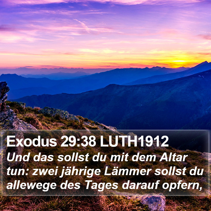 Exodus 29:38 LUTH1912 Bible Study