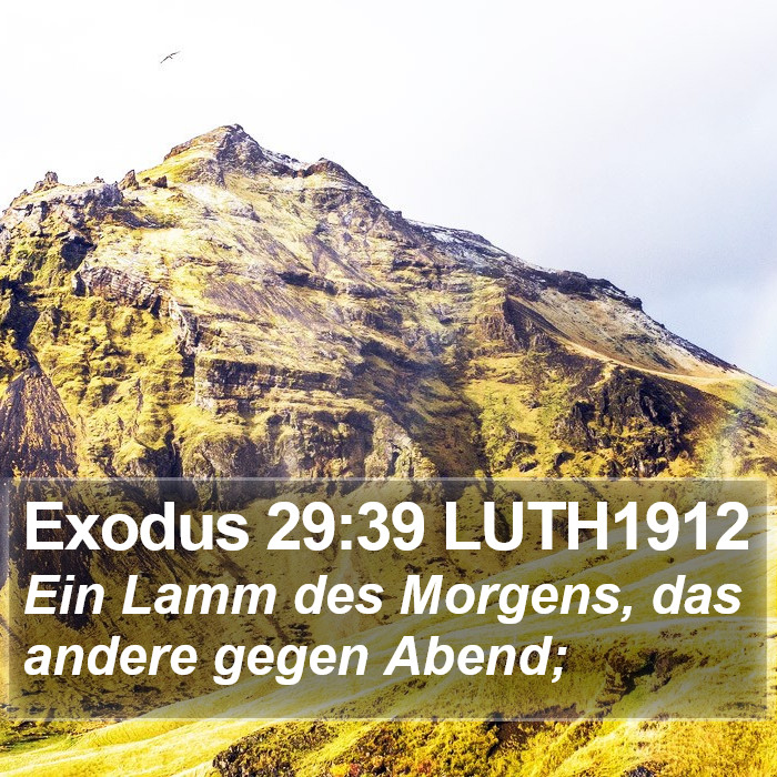 Exodus 29:39 LUTH1912 Bible Study