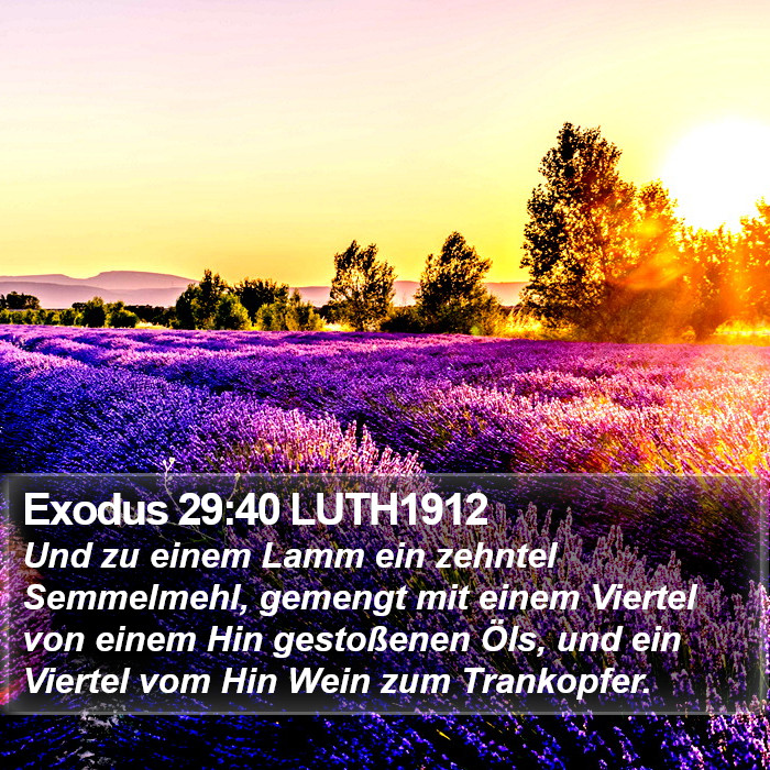 Exodus 29:40 LUTH1912 Bible Study