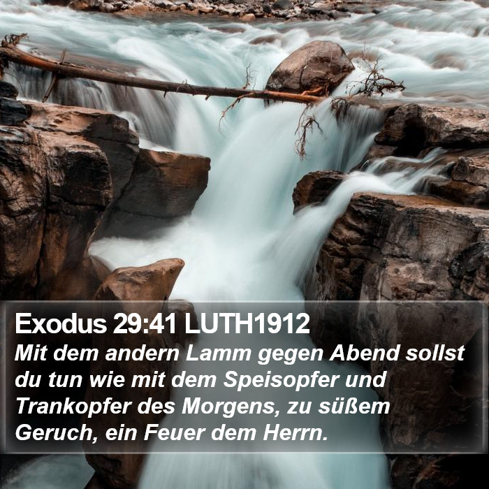 Exodus 29:41 LUTH1912 Bible Study