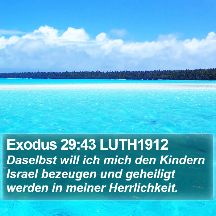 Exodus 29:43 LUTH1912 Bible Study