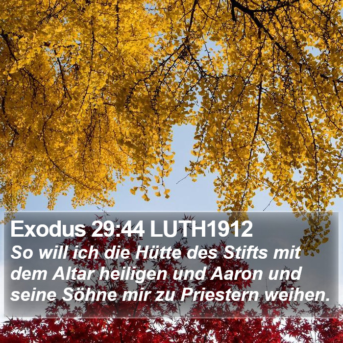 Exodus 29:44 LUTH1912 Bible Study