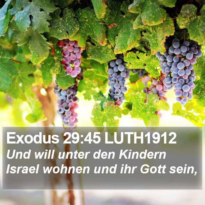 Exodus 29:45 LUTH1912 Bible Study