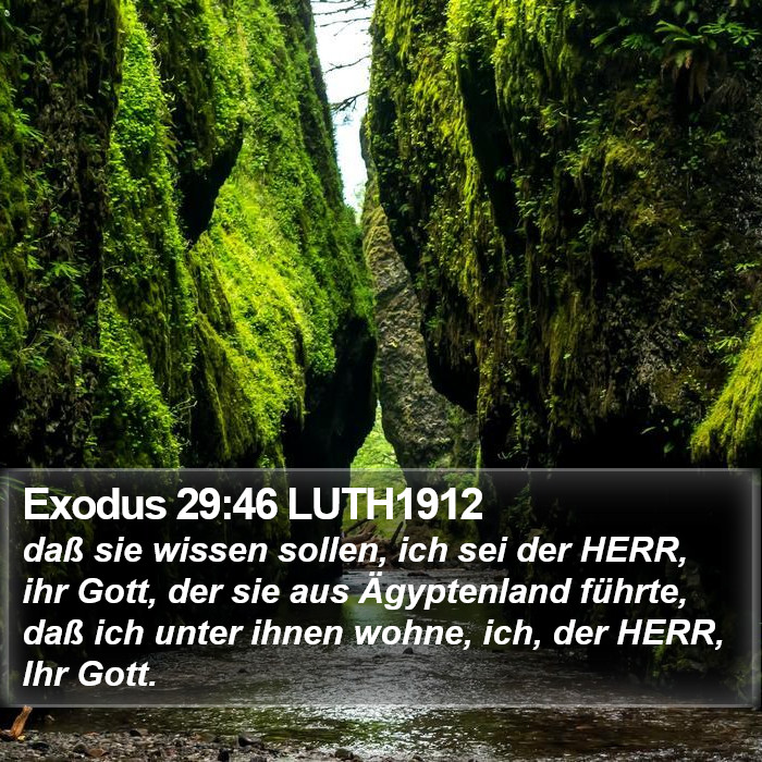 Exodus 29:46 LUTH1912 Bible Study