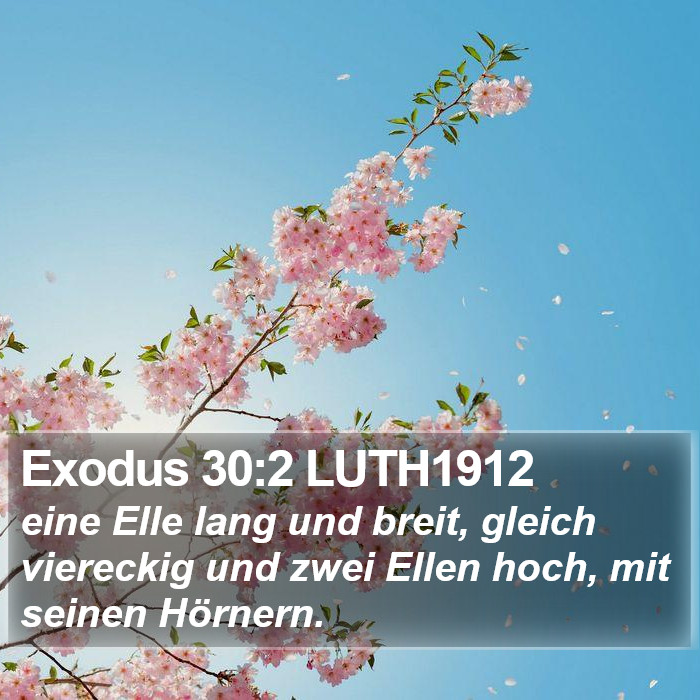 Exodus 30:2 LUTH1912 Bible Study