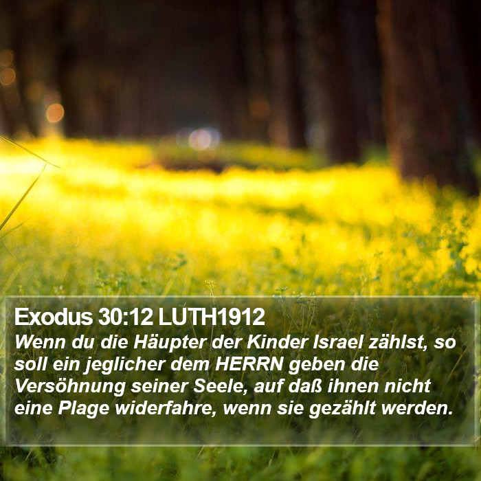 Exodus 30:12 LUTH1912 Bible Study