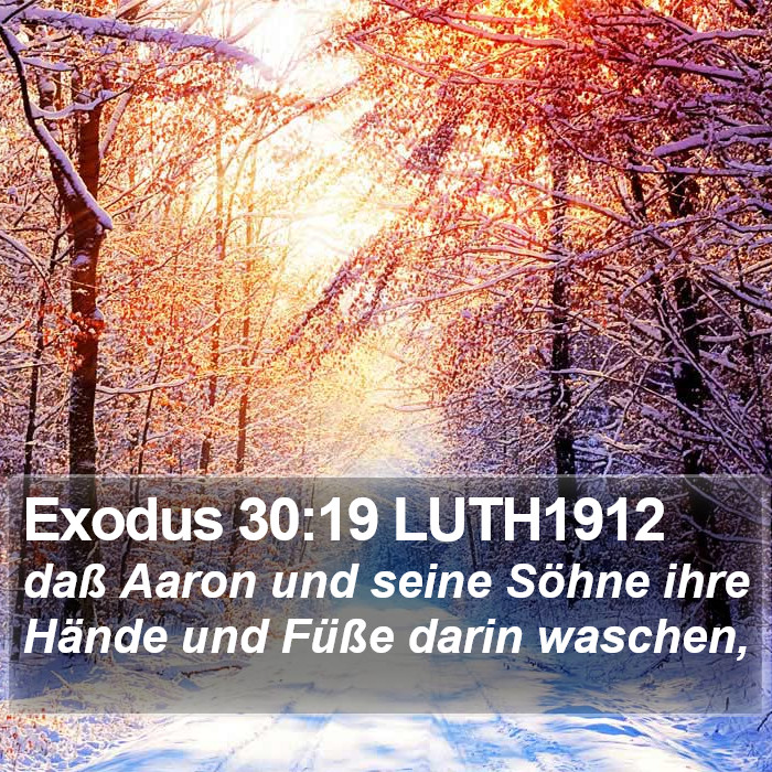 Exodus 30:19 LUTH1912 Bible Study