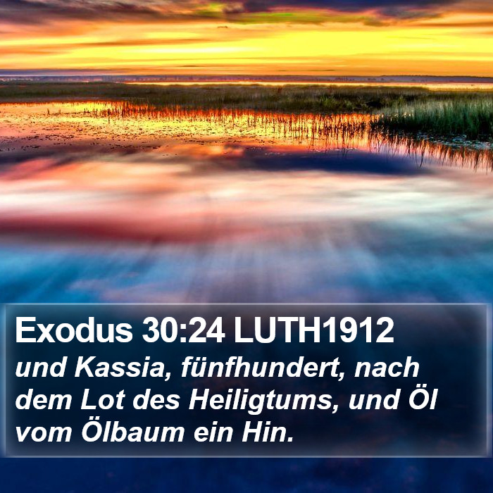 Exodus 30:24 LUTH1912 Bible Study