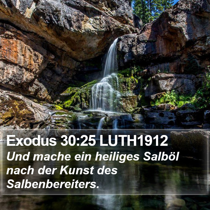 Exodus 30:25 LUTH1912 Bible Study