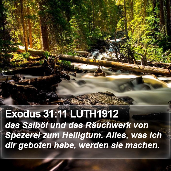 Exodus 31:11 LUTH1912 Bible Study