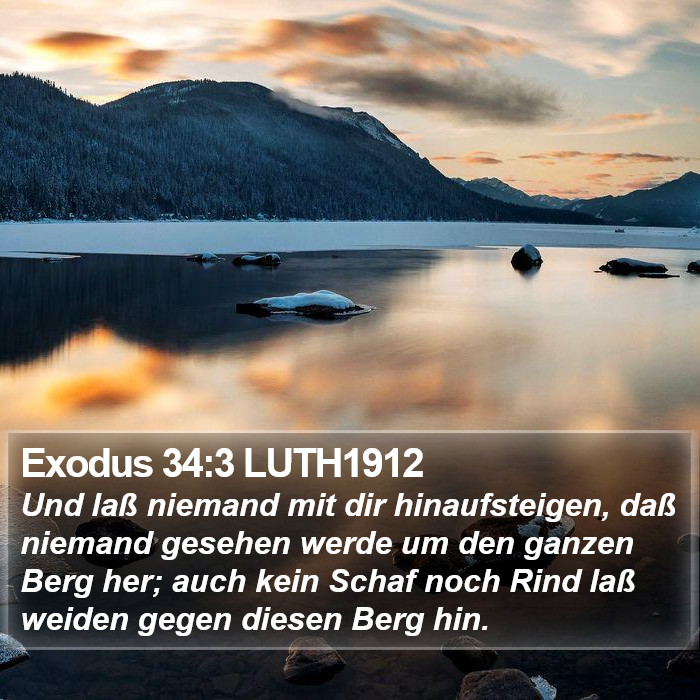 Exodus 34:3 LUTH1912 Bible Study