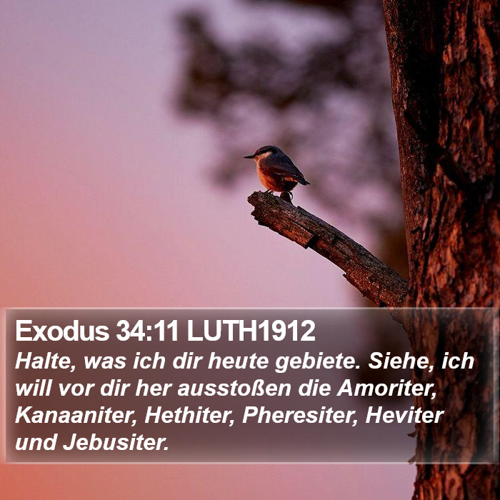 Exodus 34:11 LUTH1912 Bible Study