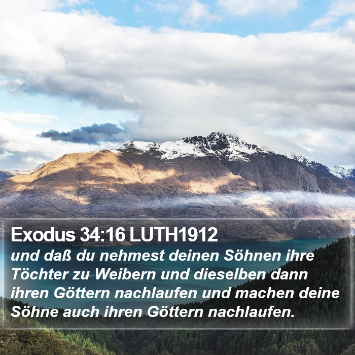 Exodus 34:16 LUTH1912 Bible Study