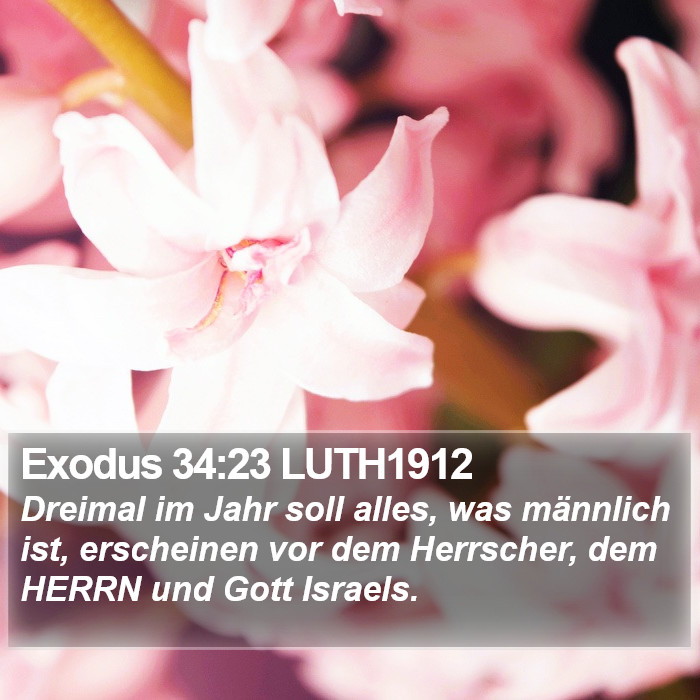 Exodus 34:23 LUTH1912 Bible Study