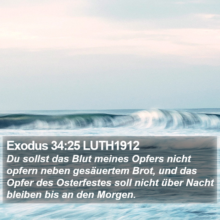 Exodus 34:25 LUTH1912 Bible Study