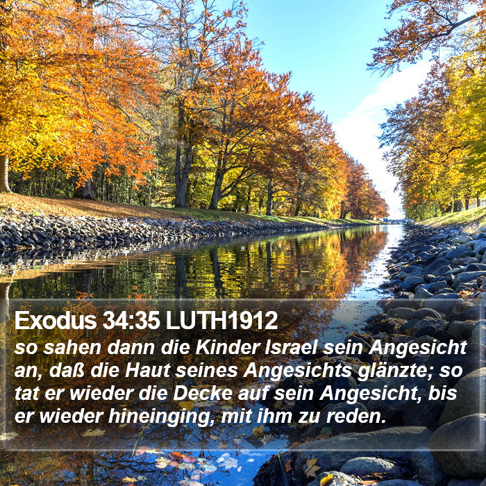 Exodus 34:35 LUTH1912 Bible Study