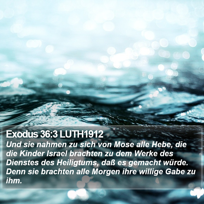 Exodus 36:3 LUTH1912 Bible Study