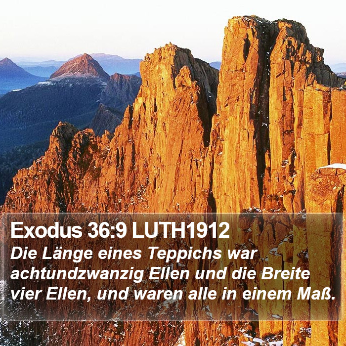 Exodus 36:9 LUTH1912 Bible Study