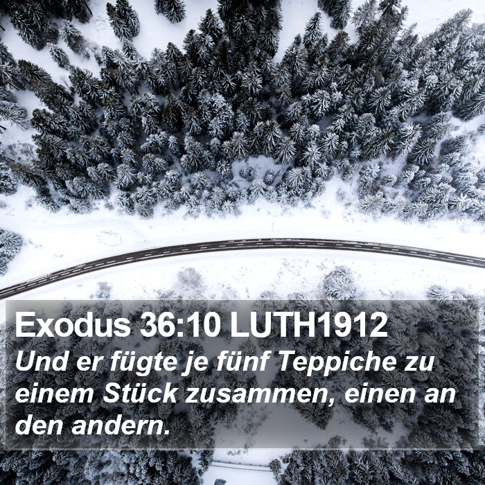 Exodus 36:10 LUTH1912 Bible Study