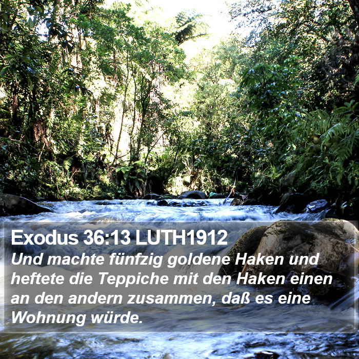 Exodus 36:13 LUTH1912 Bible Study