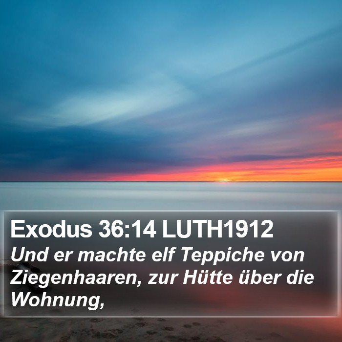 Exodus 36:14 LUTH1912 Bible Study