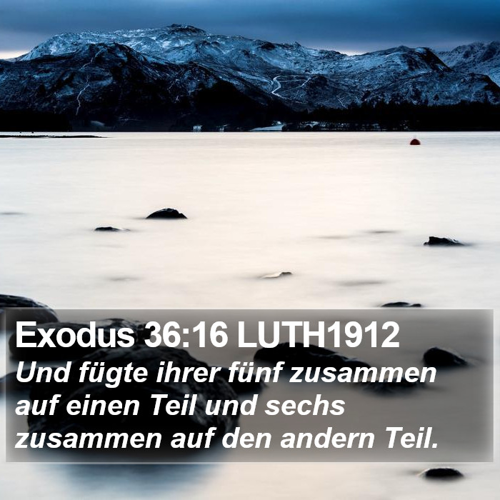 Exodus 36:16 LUTH1912 Bible Study