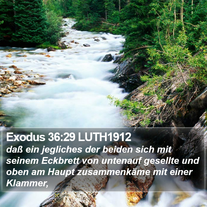 Exodus 36:29 LUTH1912 Bible Study