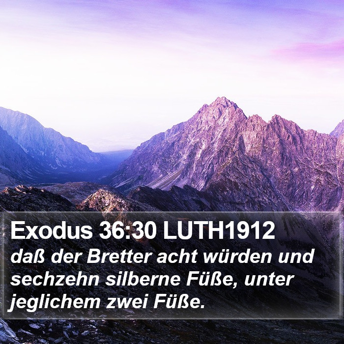 Exodus 36:30 LUTH1912 Bible Study