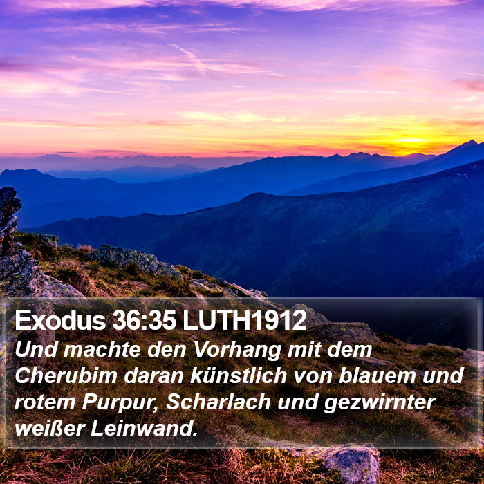 Exodus 36:35 LUTH1912 Bible Study