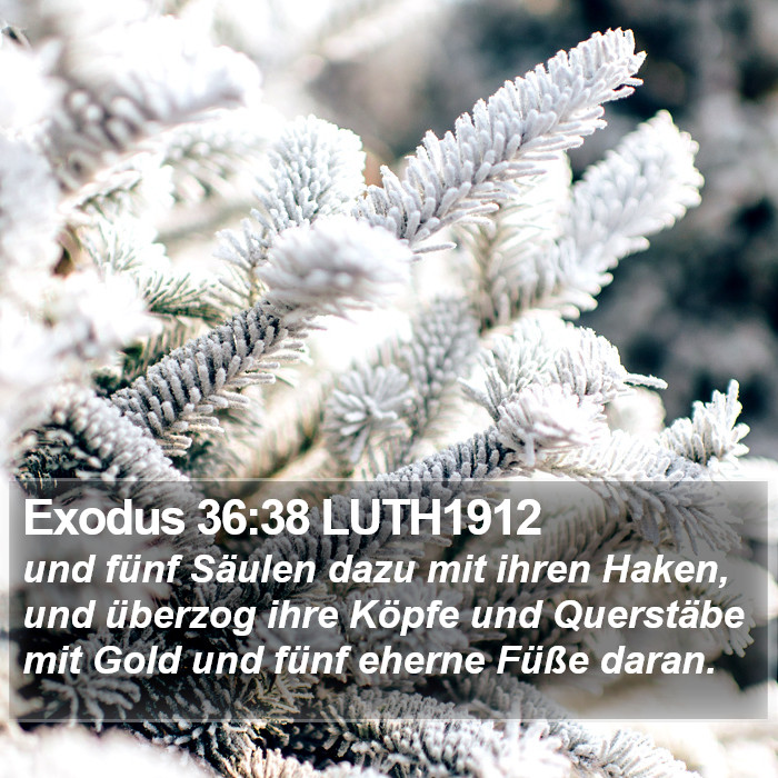 Exodus 36:38 LUTH1912 Bible Study