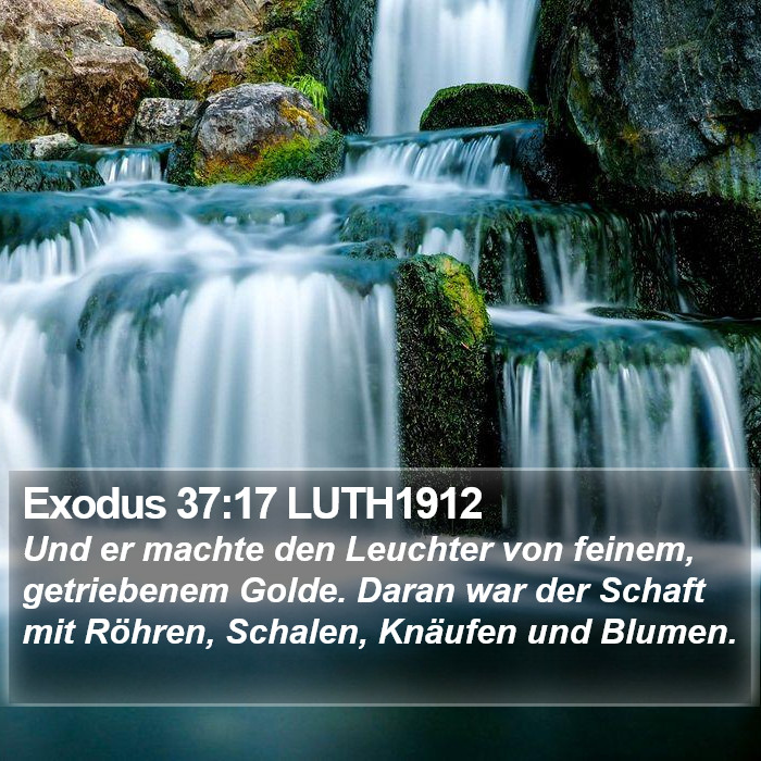 Exodus 37:17 LUTH1912 Bible Study