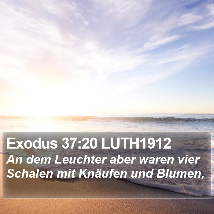 Exodus 37:20 LUTH1912 Bible Study