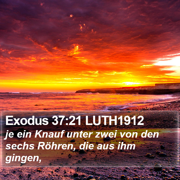 Exodus 37:21 LUTH1912 Bible Study