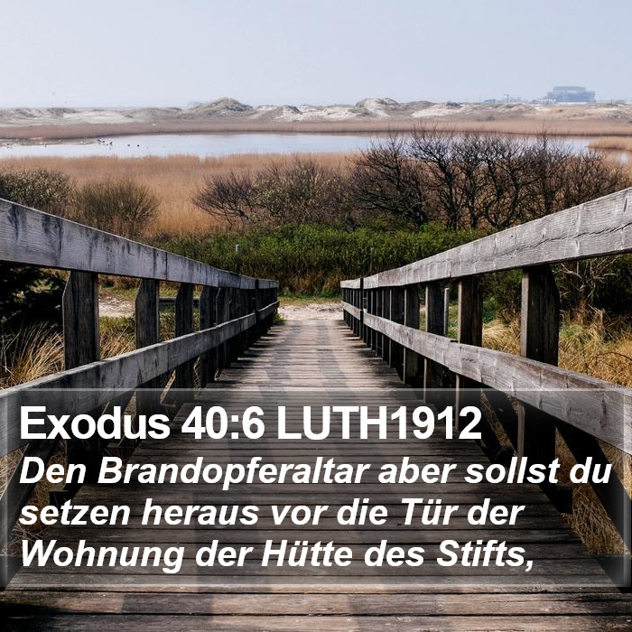 Exodus 40:6 LUTH1912 Bible Study