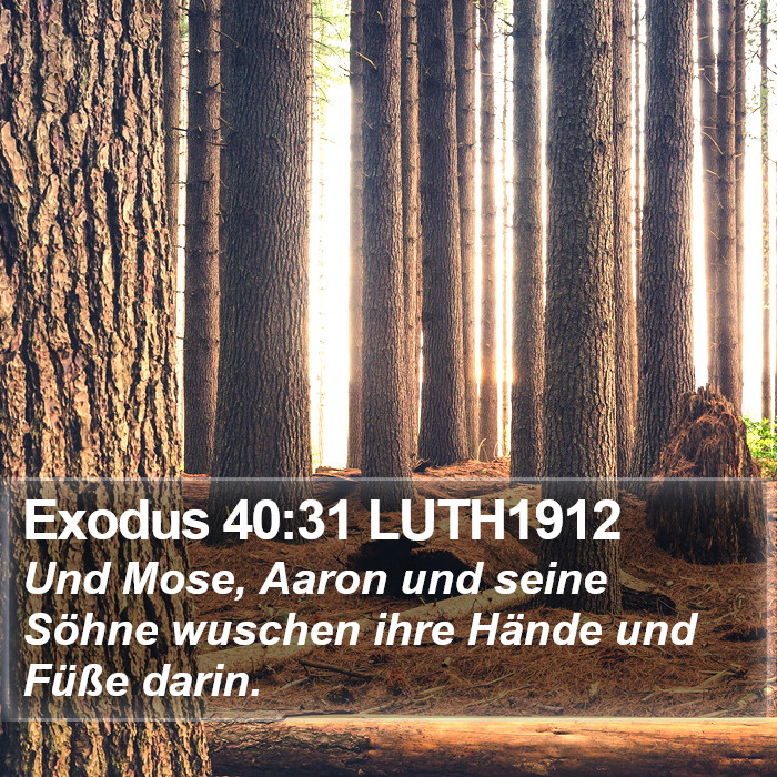 Exodus 40:31 LUTH1912 Bible Study