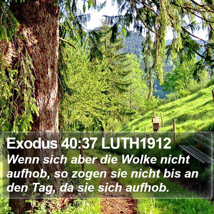 Exodus 40:37 LUTH1912 Bible Study