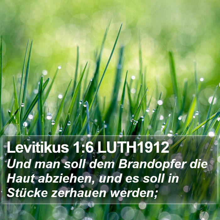 Levitikus 1:6 LUTH1912 Bible Study