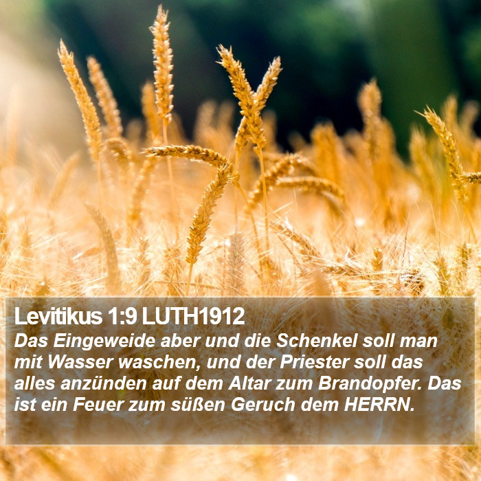 Levitikus 1:9 LUTH1912 Bible Study