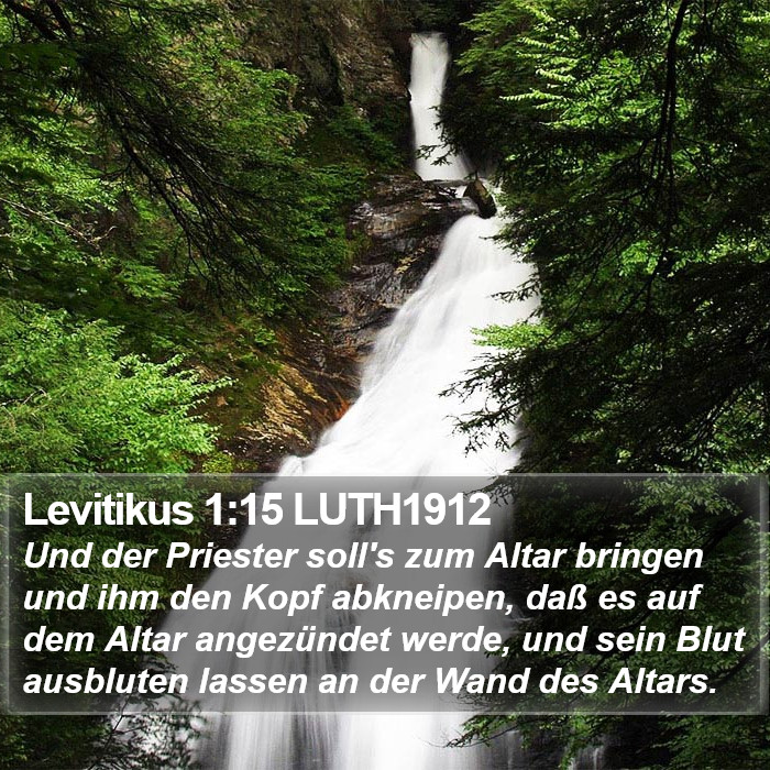 Levitikus 1:15 LUTH1912 Bible Study