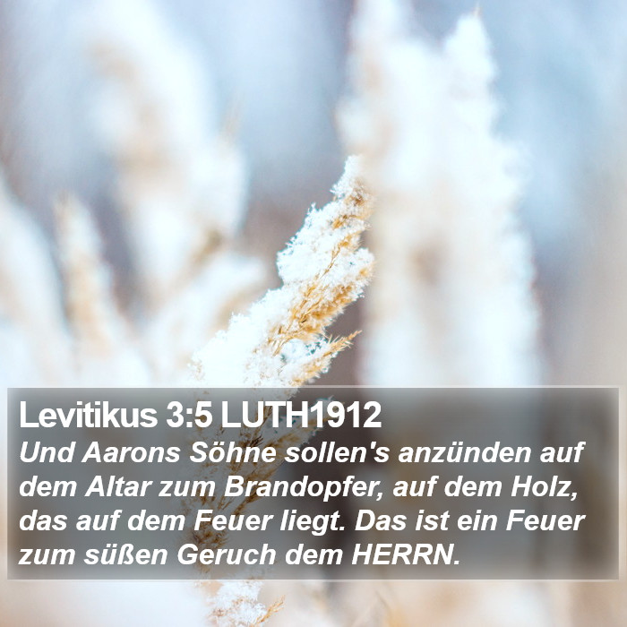 Levitikus 3:5 LUTH1912 Bible Study