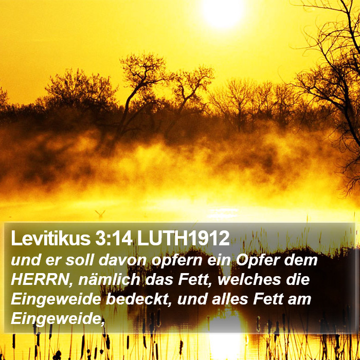 Levitikus 3:14 LUTH1912 Bible Study