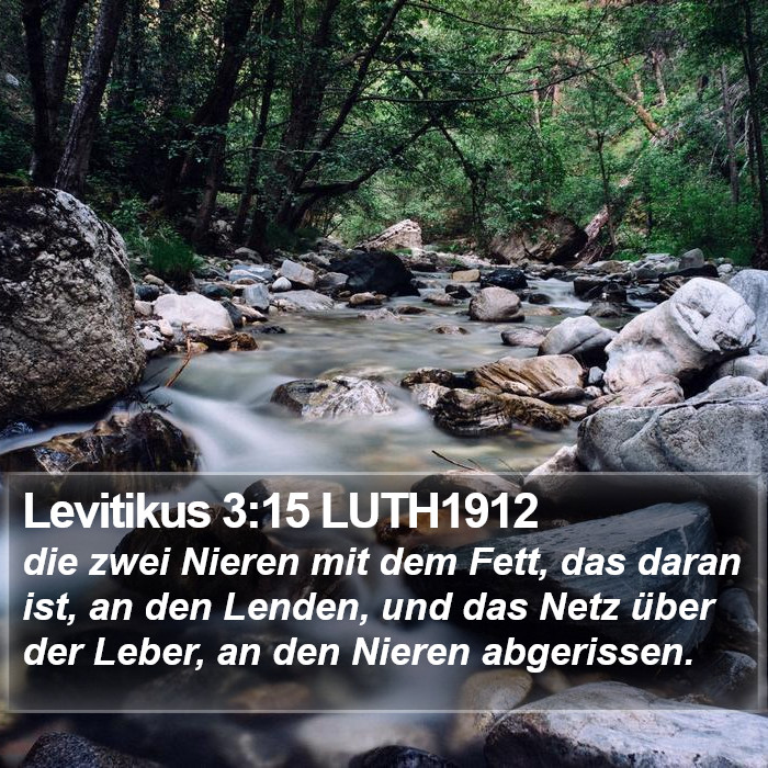 Levitikus 3:15 LUTH1912 Bible Study
