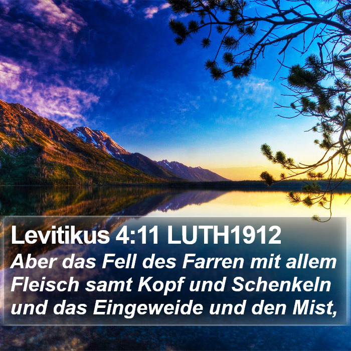 Levitikus 4:11 LUTH1912 Bible Study