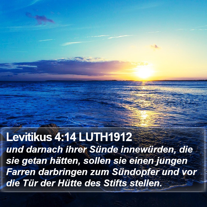 Levitikus 4:14 LUTH1912 Bible Study